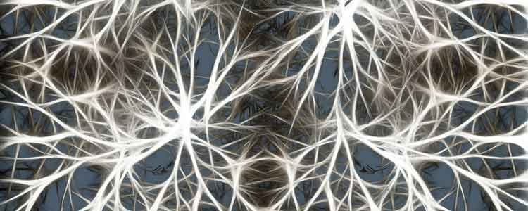 natural remedies for epilepsy