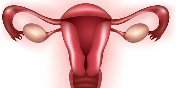 ovarian cyst natural treatment options