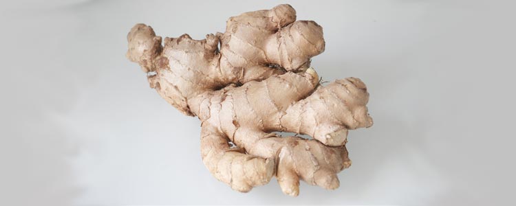 Ginger Benefits