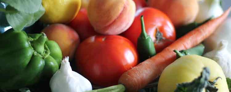 vegetarian diet for pneumonia