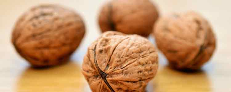 Natural Remedies for High Cholesterol (walnuts)