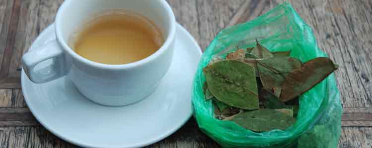 sage benefits and sage tea