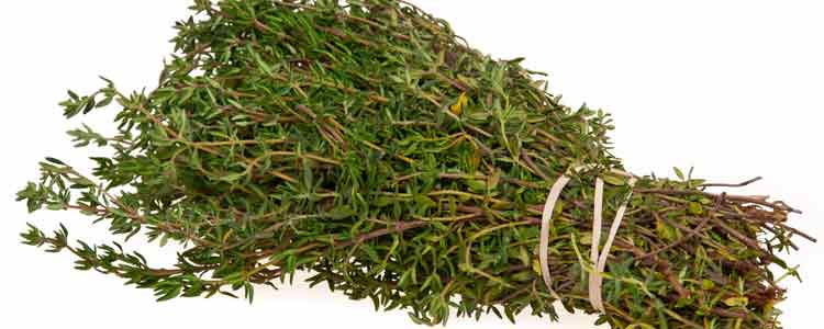 Thyme Oil for Hair Health