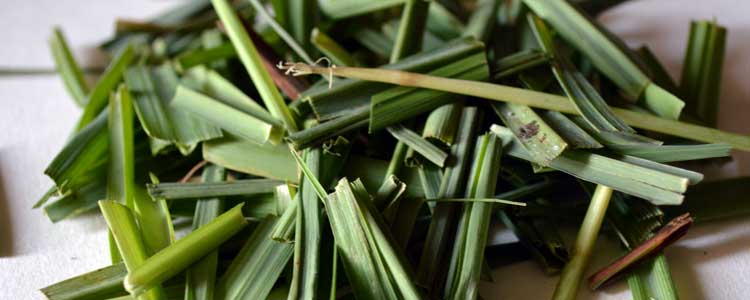 Lemongrass Benefits