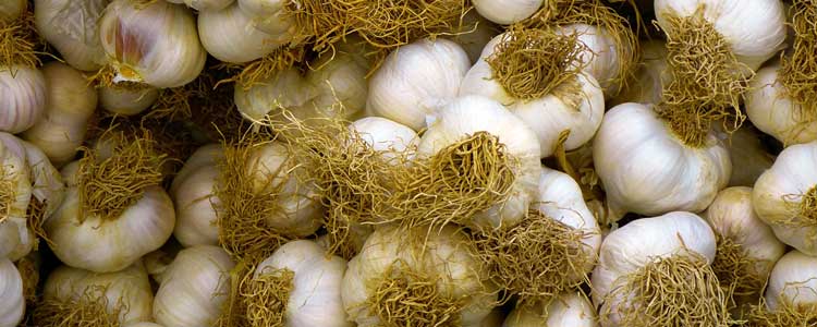 Garlic For Colds