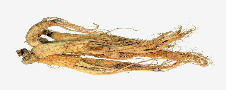 Ginseng for Energy