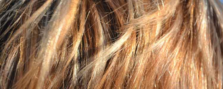 Hair Health and Growth - Sage Oil