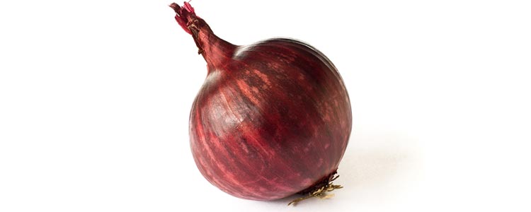 Onion for Colds
