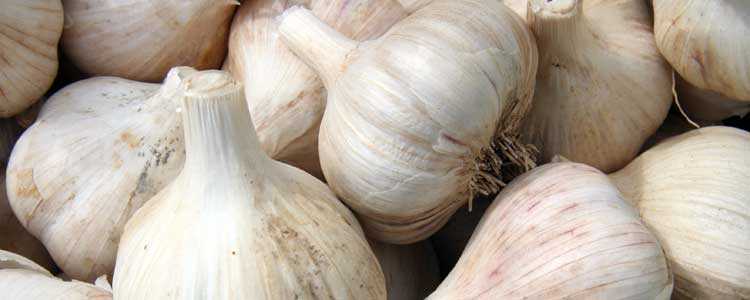 Use Garlic for the Flu