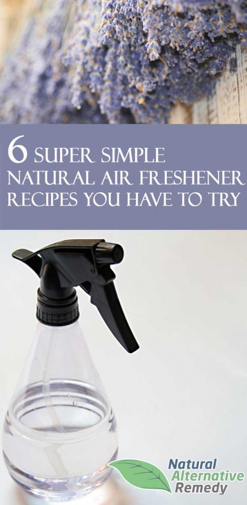 6 Simple Natural Air Freshener Recipes You Have to Try