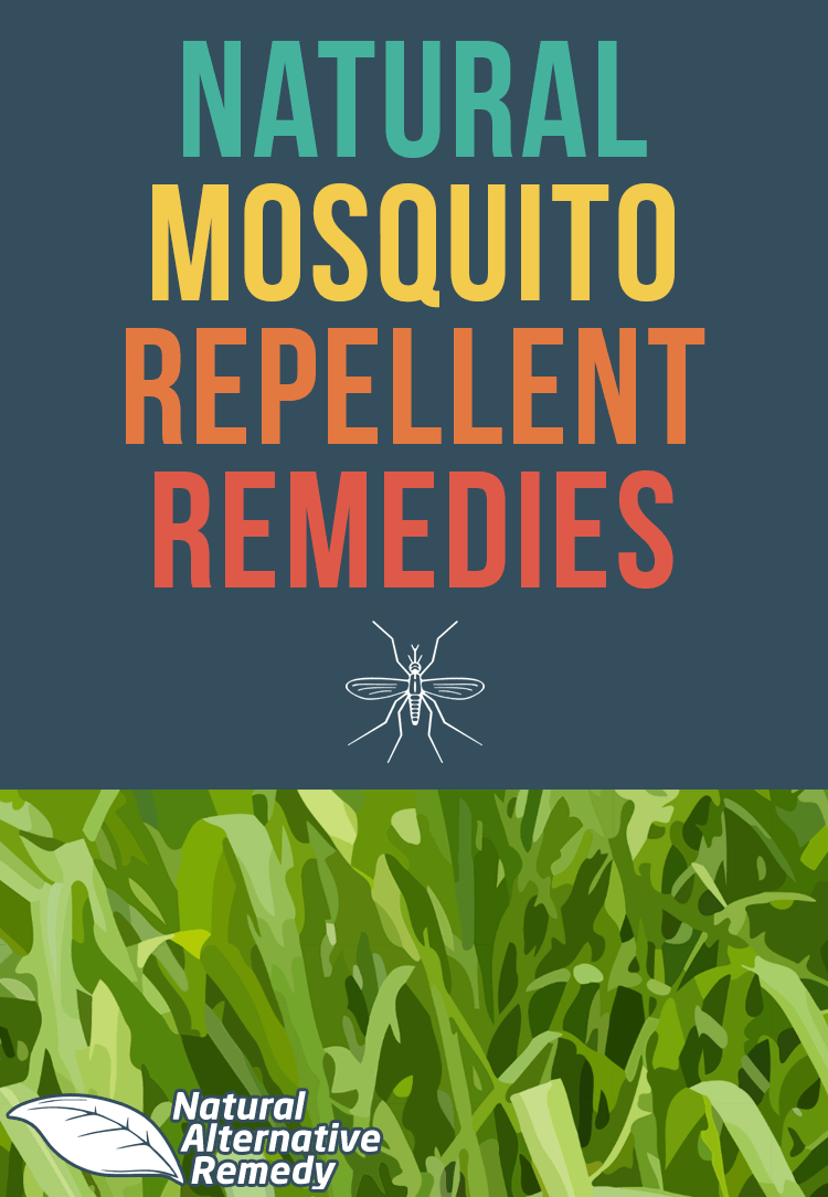 It's time to banish the bugs and put an end to one of summer's biggest bummers: mosquito bites. Here are 5 natural mosquito repellent recipes you can make at home. #nomoresummerbummers #naturalremedies #healthyskin
